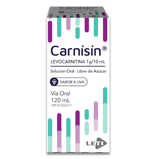 CARNISIN SOLUCION SIN AZUCAR (L-CARNITINA) 1G-10ML X 120ML (LETI)