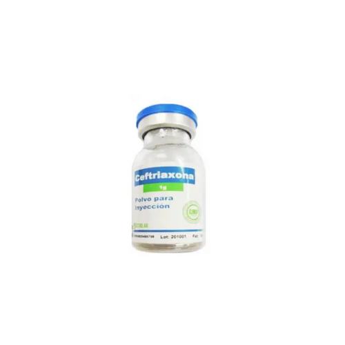 CEFOTAXIMA  1G X 1 VIAL (CR DISTRILAB)